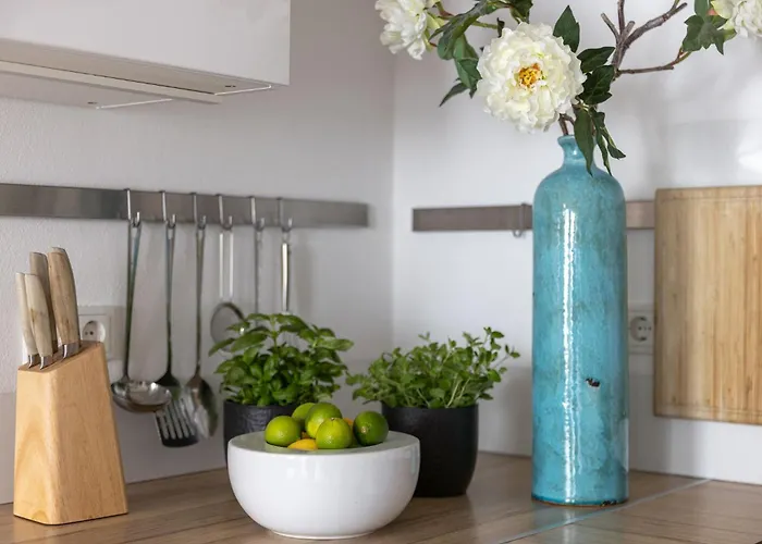 Dream 'meadow' Gladenbach